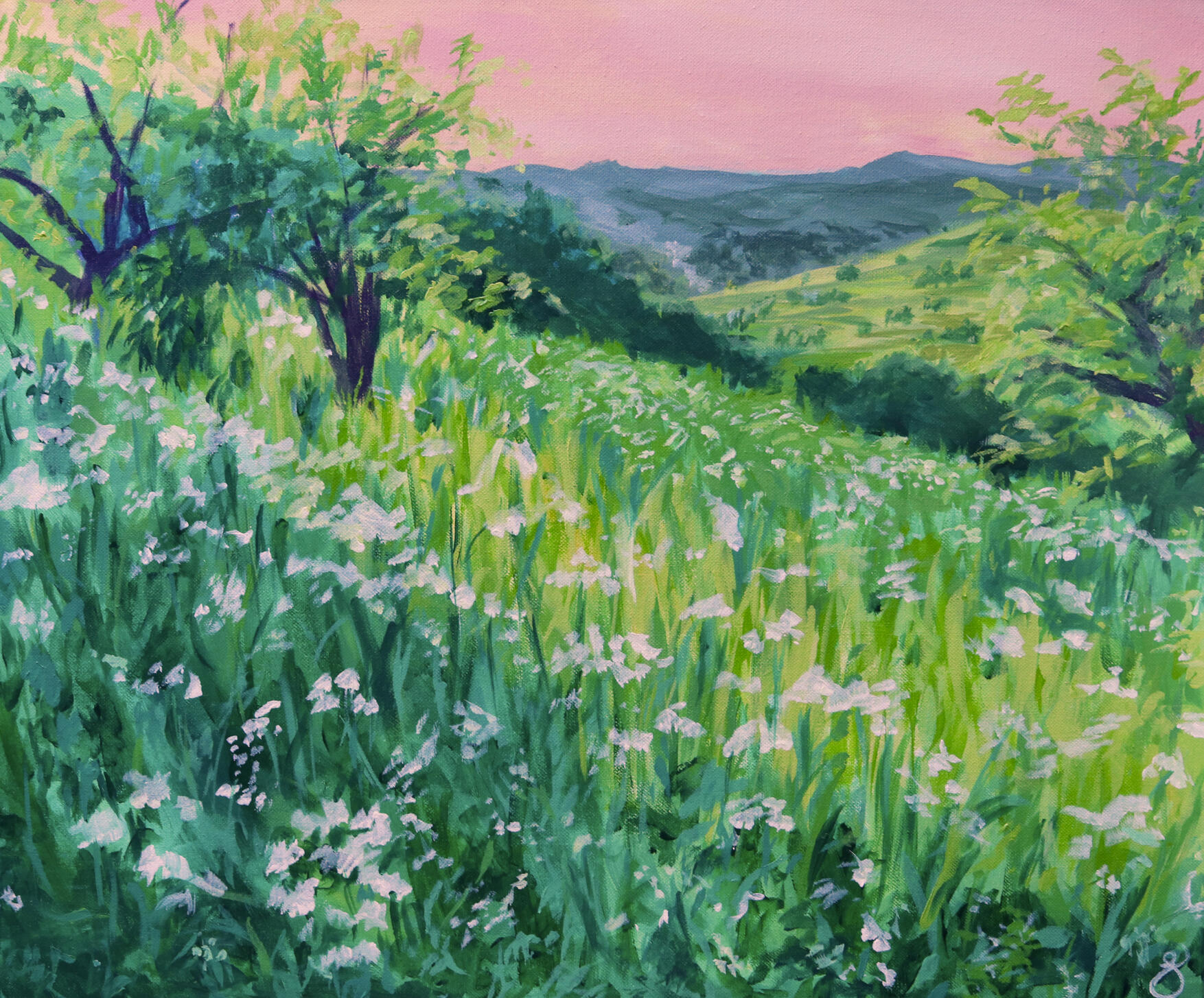 Spring Fields